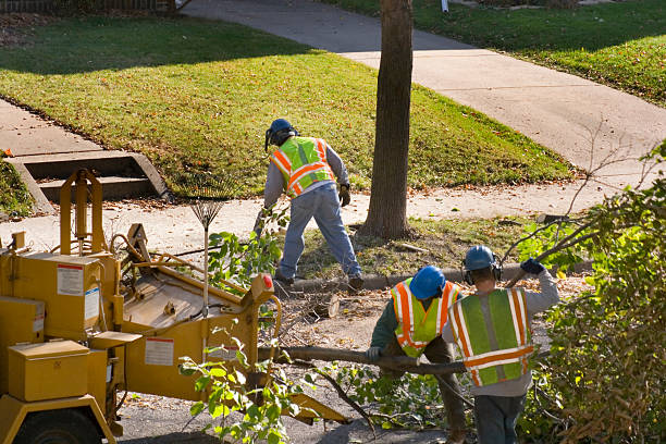 Best Lawn Watering Services  in Snowmass Village, CO